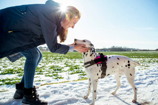 Caring for your Dally during the Winter