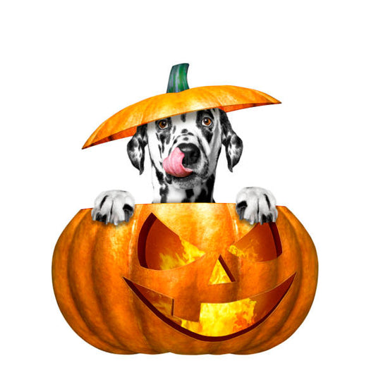 Dogs at Halloween